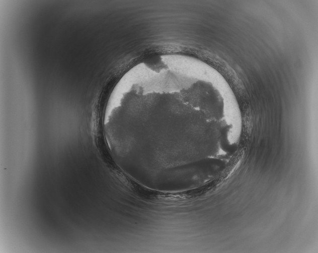 X0000102540359200809051537