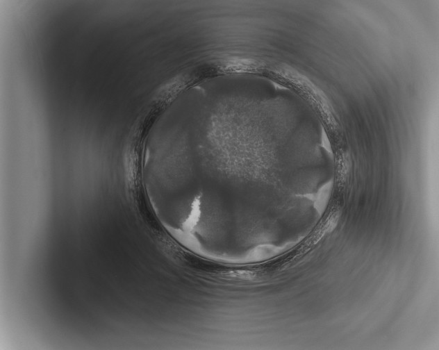 X0000102540361200809051537