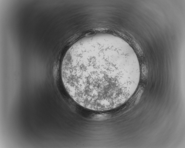 X0000102540364200809051537