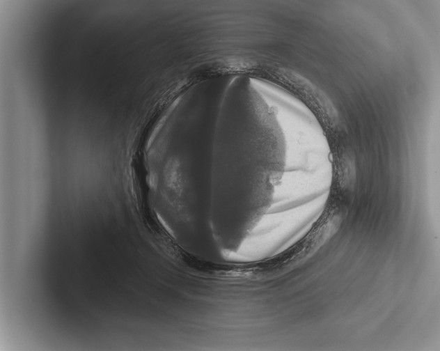X0000102540366200809051537