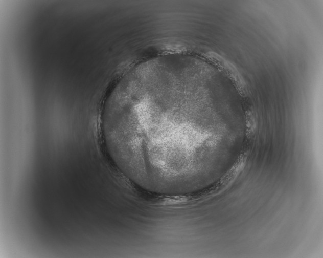 X0000102540369200809051537