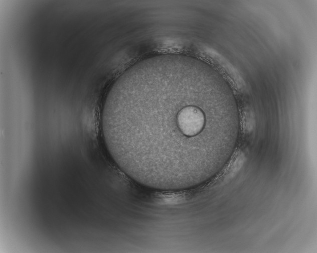 X0000102540370200809051537