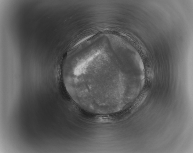 X0000102540372200809051537
