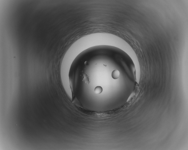 X0000102540376200809051538