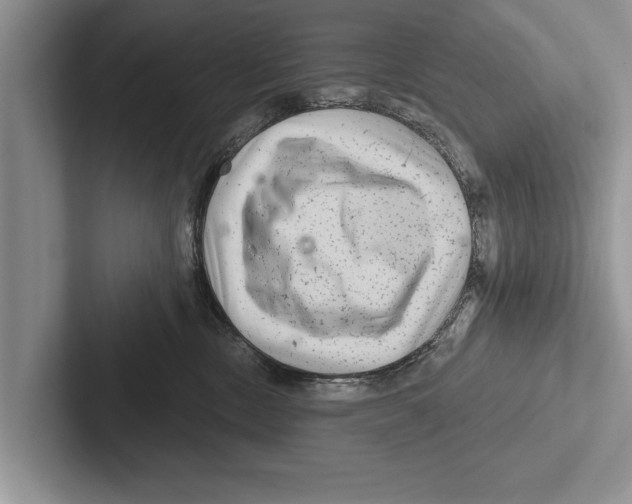 X0000102540378200809051538