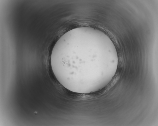 X0000102540379200809051538
