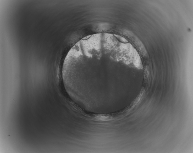 X0000102540380200809051538