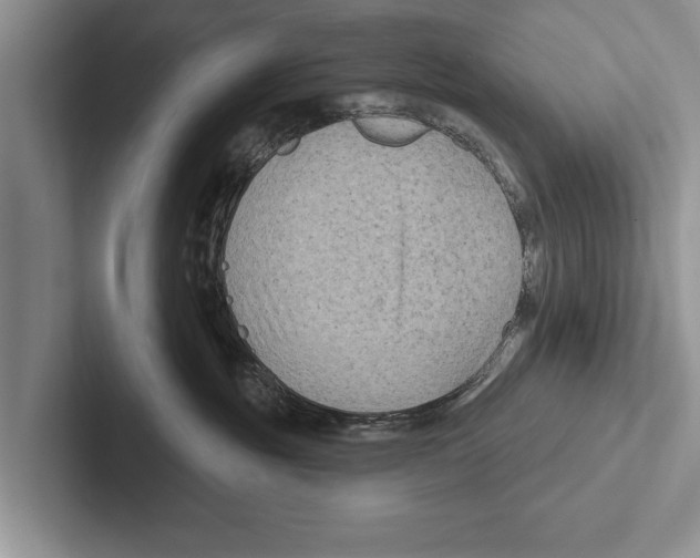 X0000102540381200809051538