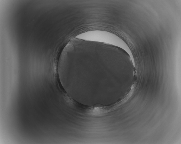 X0000102540382200809051538