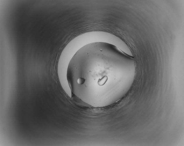 X0000102540384200809051538
