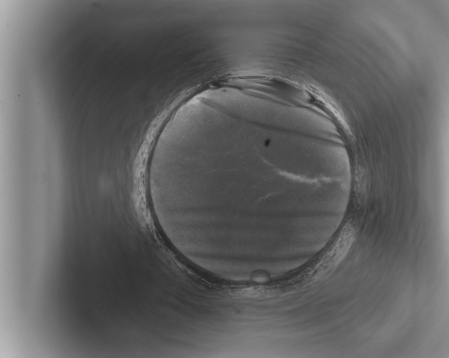 X0000102540385200809051537