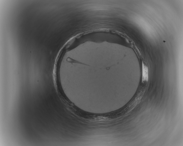 X0000102540387200809051537