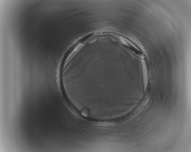 X0000102540389200809051537