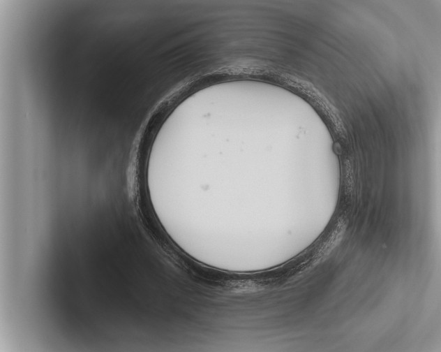 X0000102540392200809051537