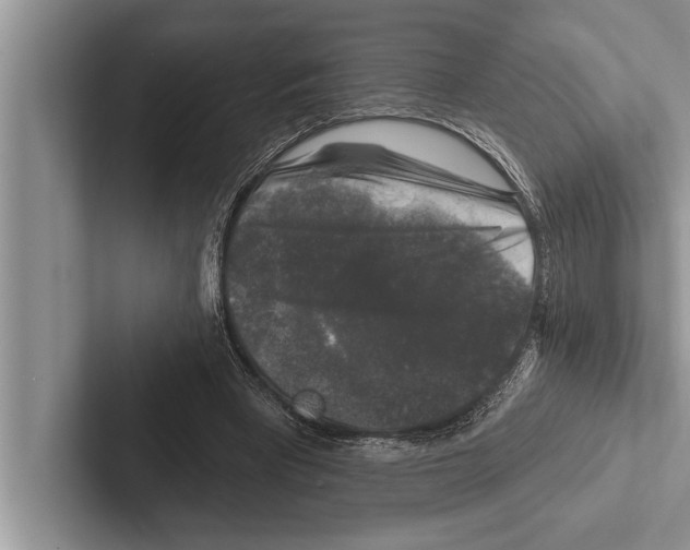 X0000102540393200809051537