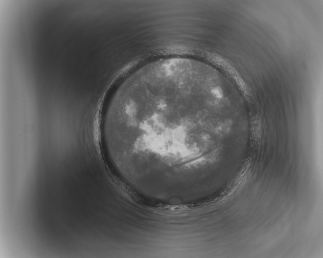 X0000102540395200809051537