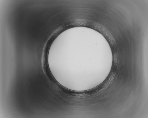 X0000102540396200809051537