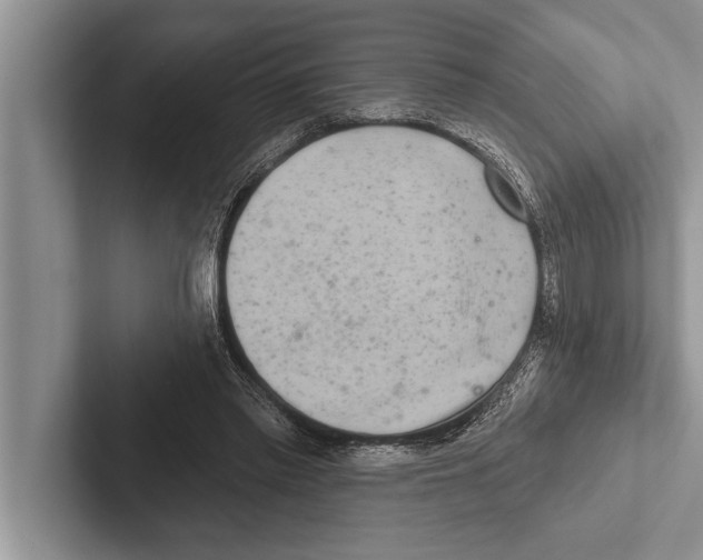 X0000102540397200809051537