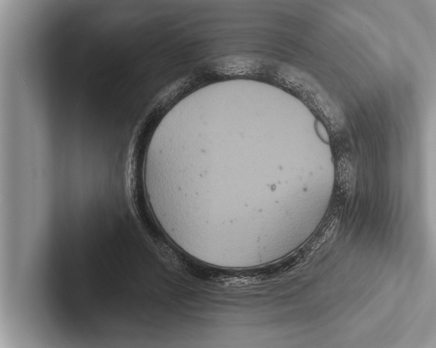 X0000102540400200809051537