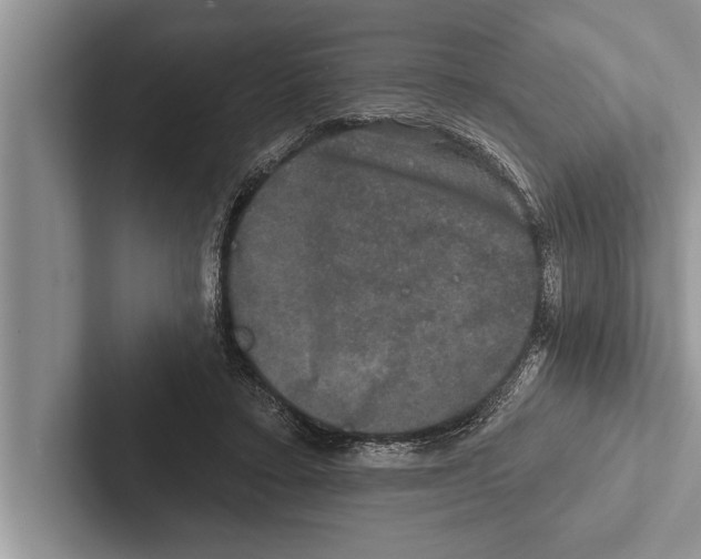 X0000102540403200809051537
