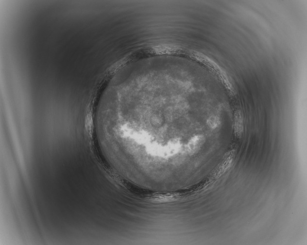 X0000102540405200809051537