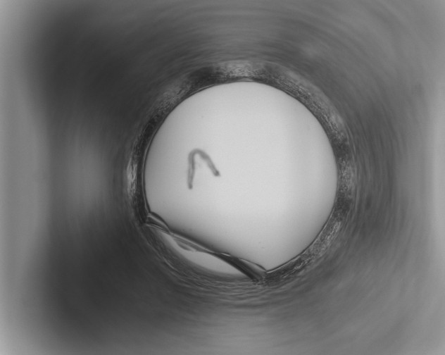 X0000102540406200809051537