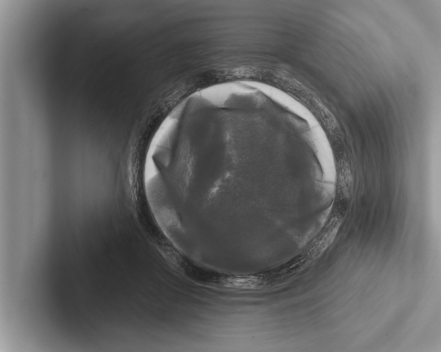 X0000102540410200809051537