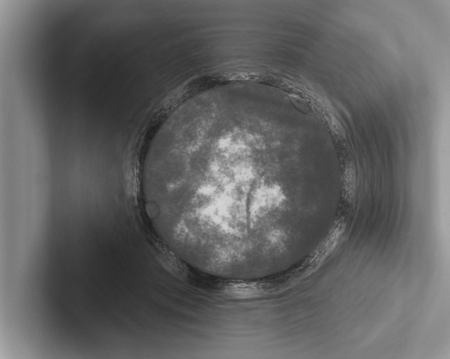 X0000102540413200809051537