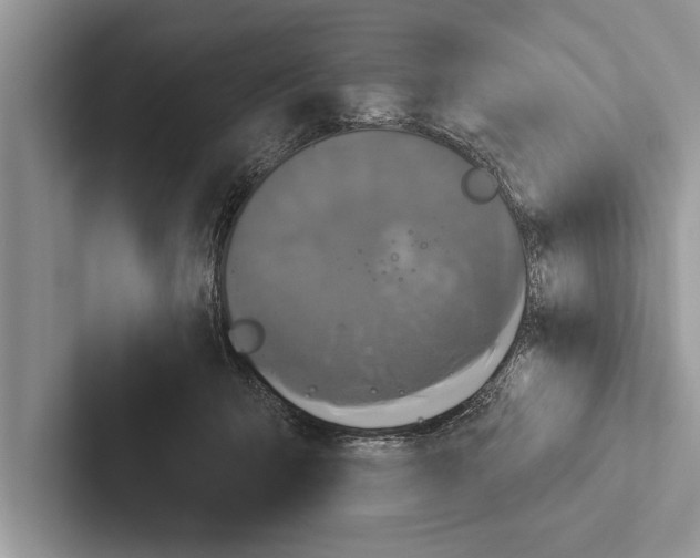 X0000102540415200809051537