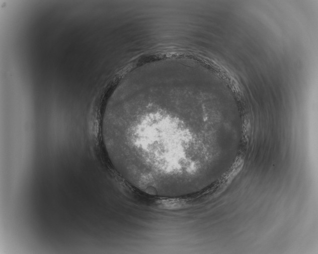 X0000102540417200809051537