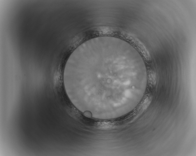 X0000102540419200809051537