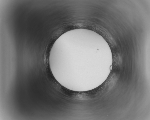 X0000102540420200809051537