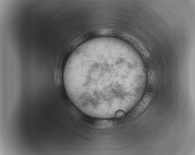X0000102540421200809051536