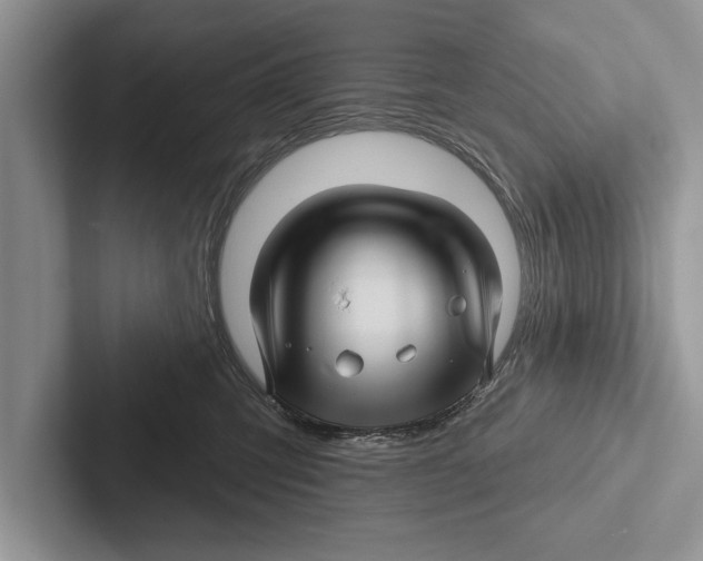 X0000102540423200809051536
