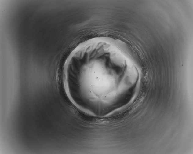 X0000102540424200809051536