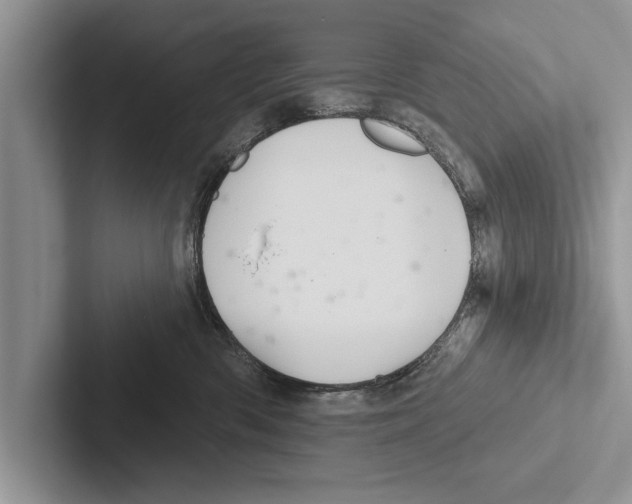 X0000102540426200809051536