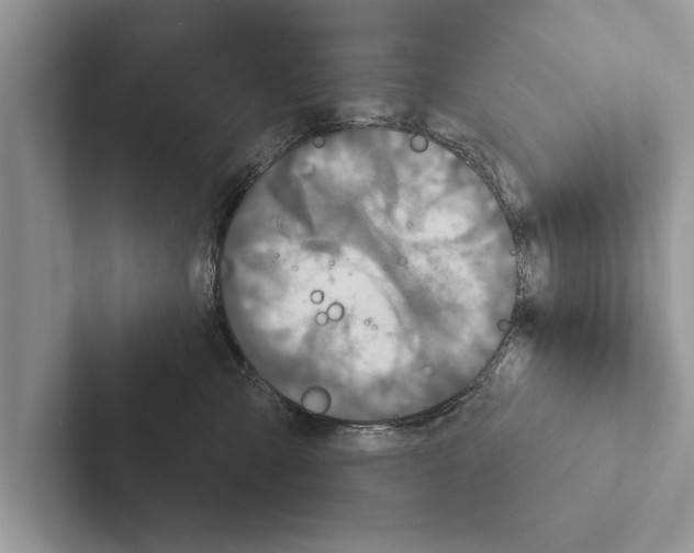 X0000102540427200809051536
