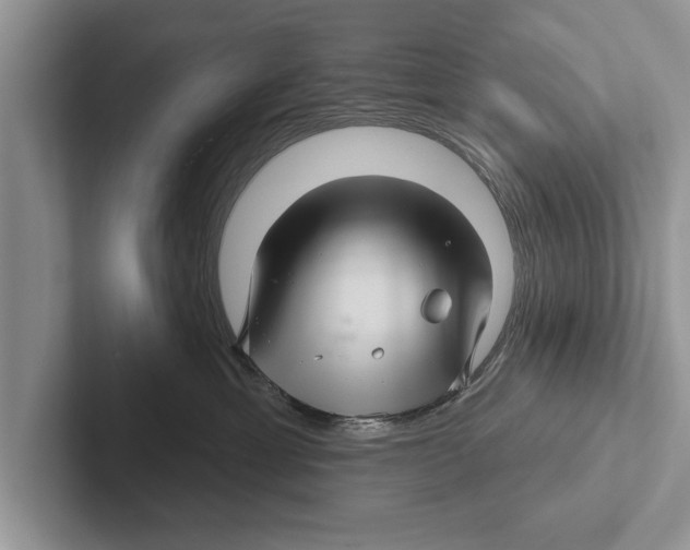 X0000102540429200809051536