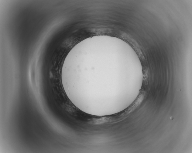 X0000102540430200809051536
