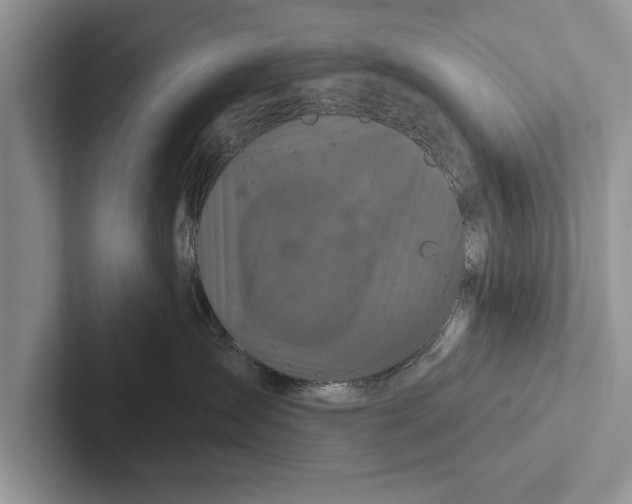 X0000102540431200809051536