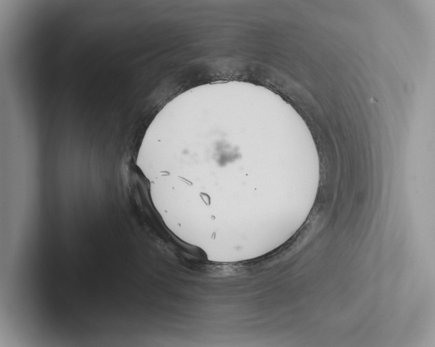 X0000102540432200809051536
