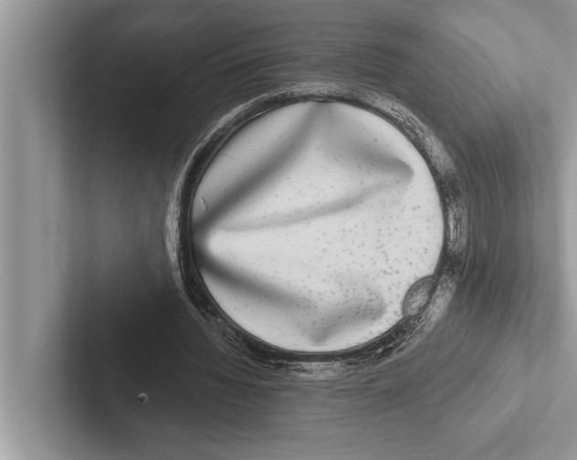 X0000102540436200809051536