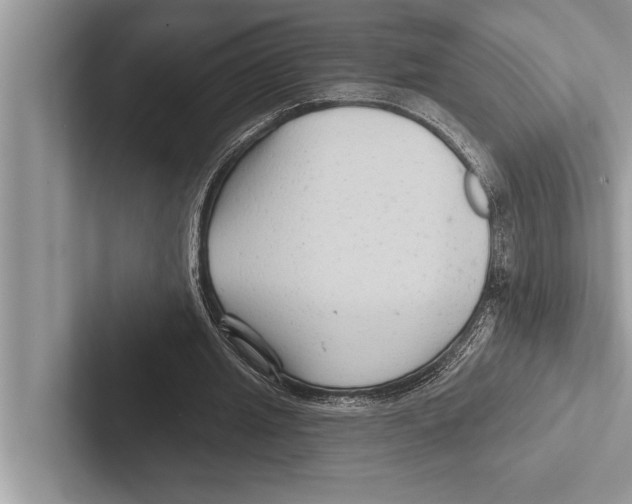 X0000102540437200809051536