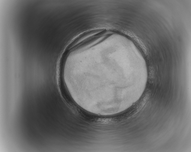 X0000102540440200809051536