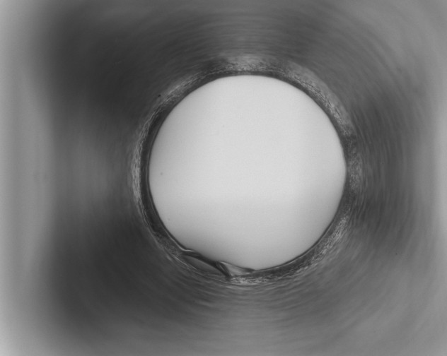 X0000102540442200809051536