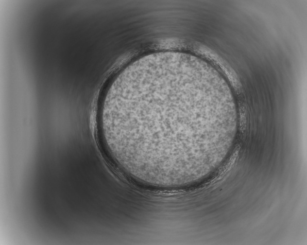 X0000102540443200809051536