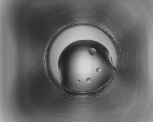 X0000102540444200809051536