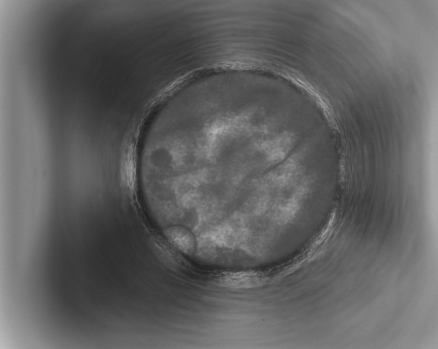 X0000102540446200809051536