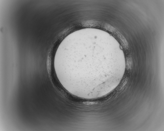 X0000102540448200809051536