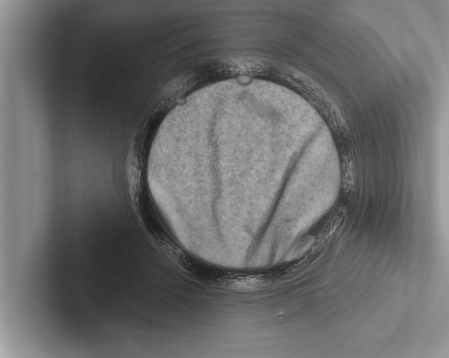 X0000102540456200809051536